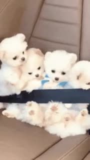 All tucked in and ready to go