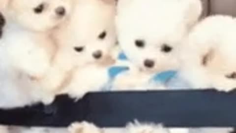 All tucked in and ready to go