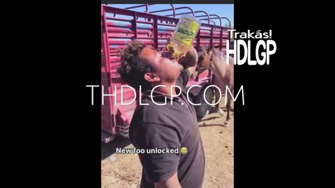 UNCENSORED: The Raging Bull's Code for Unfiltered Fun – Alcohol, Parties & Legal Freedom!