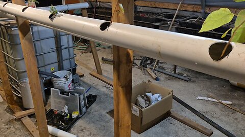 aquaponics first run
