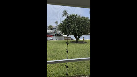 Rain Chain! | 4K