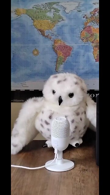 Chairman Carney what the **** is going on in Neapen