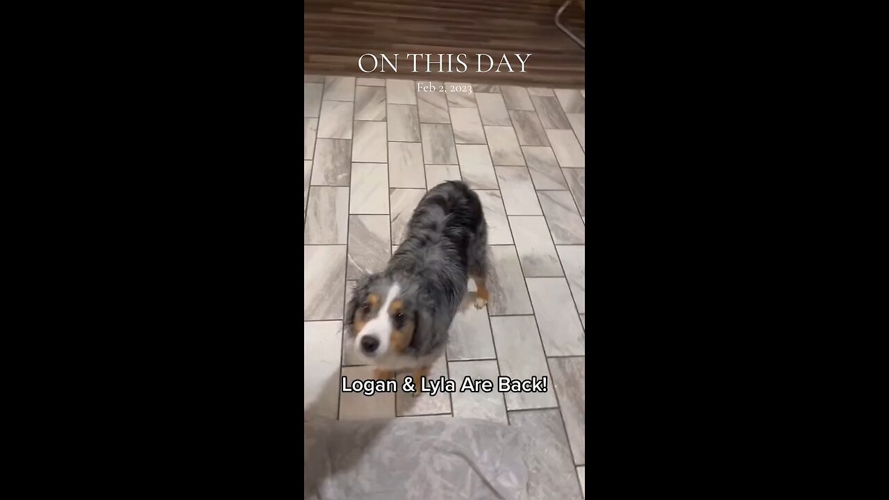 I Miss Them 🥰🐶🐾🐾