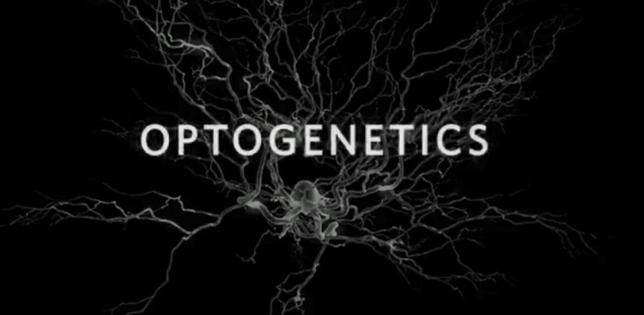 OPTOGENETICS-ELECTRONICS Locomotion Control
