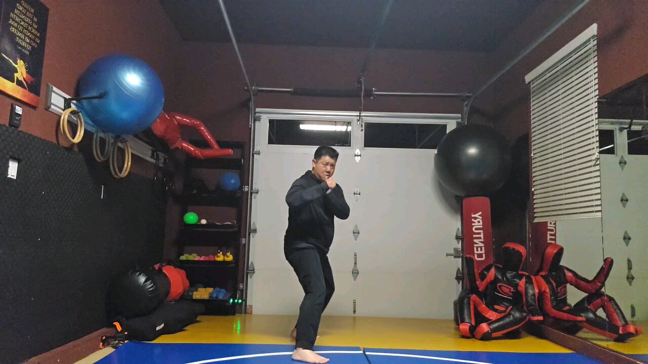 WTD 2 Step Kick Combination 75