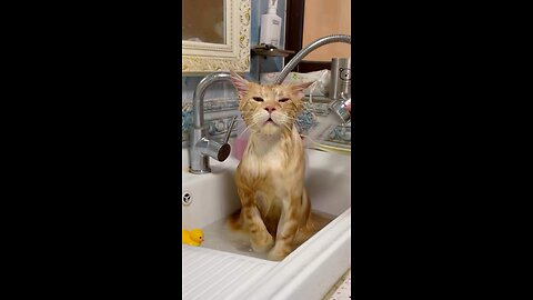 I would really like to take a bath.🐈🤣