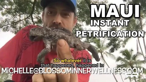 [Nov 4, 2023] MAUI Instant petrification - DEW's [Reese Report]