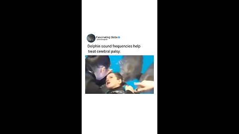Look what this dolphin did