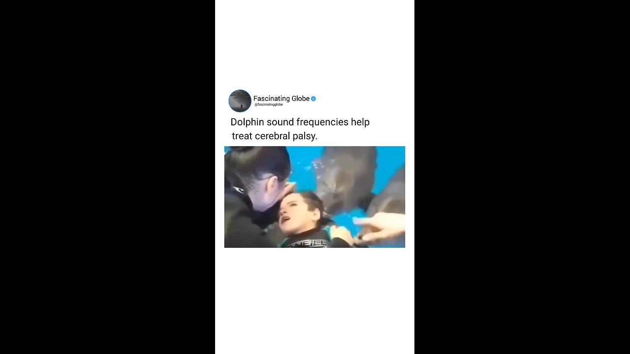 Look what this dolphin did