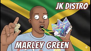 The ONLY Thing Saving My NYC Winter ❄️ (Marley Green Review)