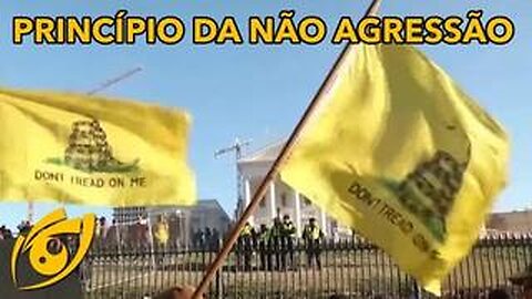 Eu sou um genuíno libertário - HD | Crônica Libertária - 04/07/20 | ANCAPSU