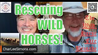 RESCUING WILD HORSES