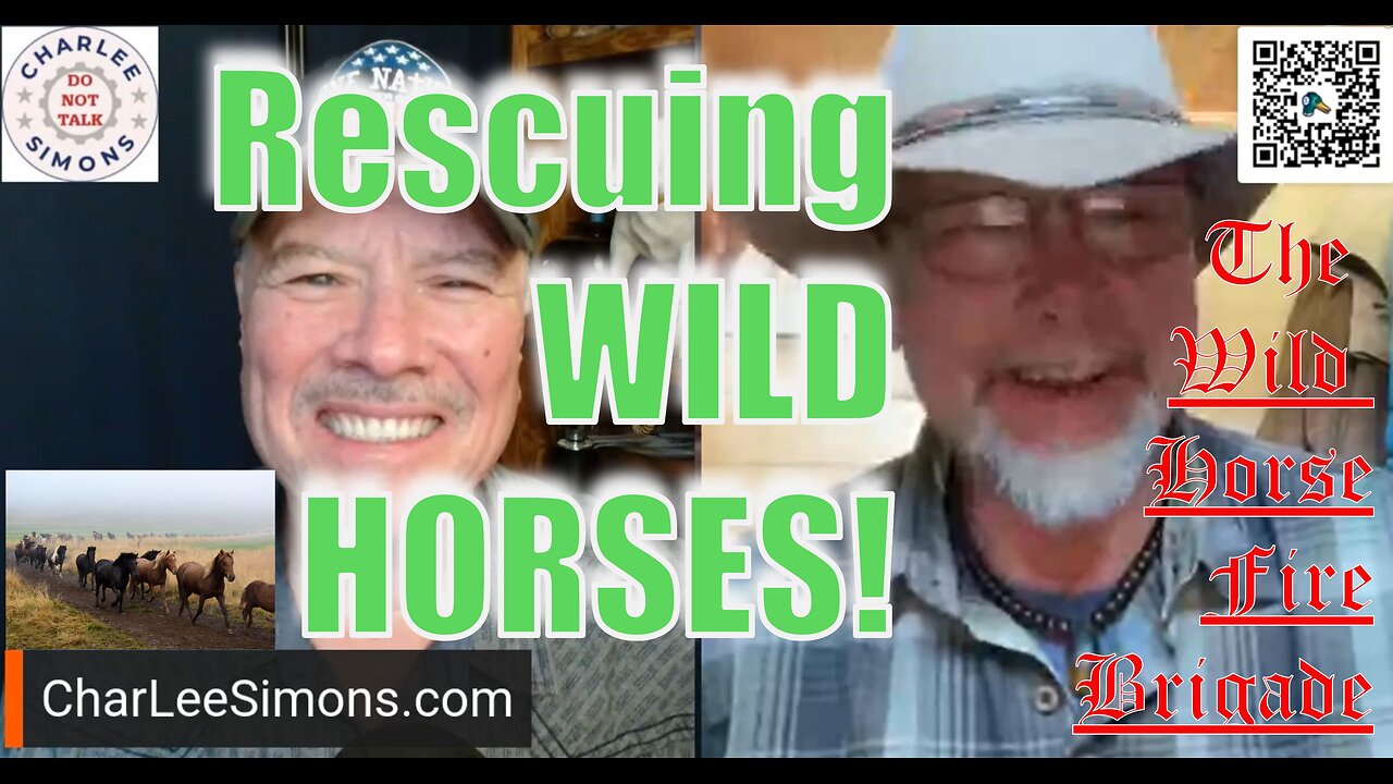RESCUING WILD HORSES