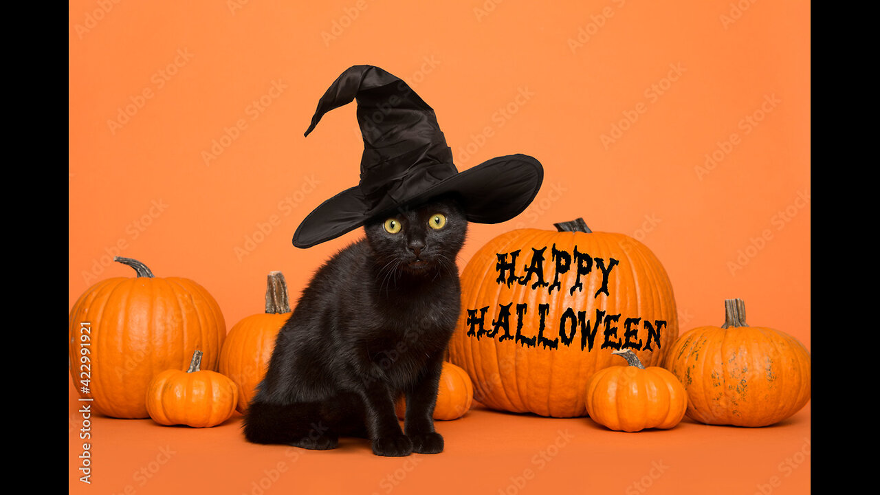 HALLOWEEN SPECIAL BAYBEEE!!!