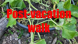 Vacation is tough on the Garden