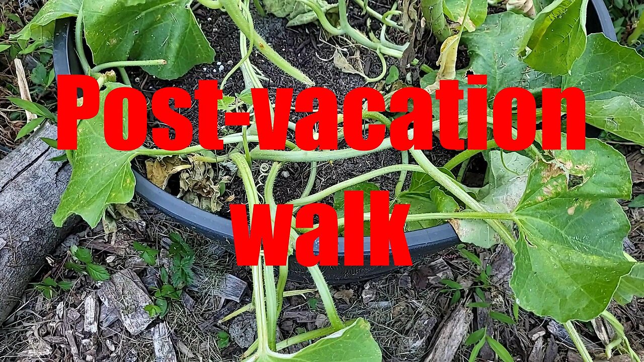 Vacation is tough on the Garden