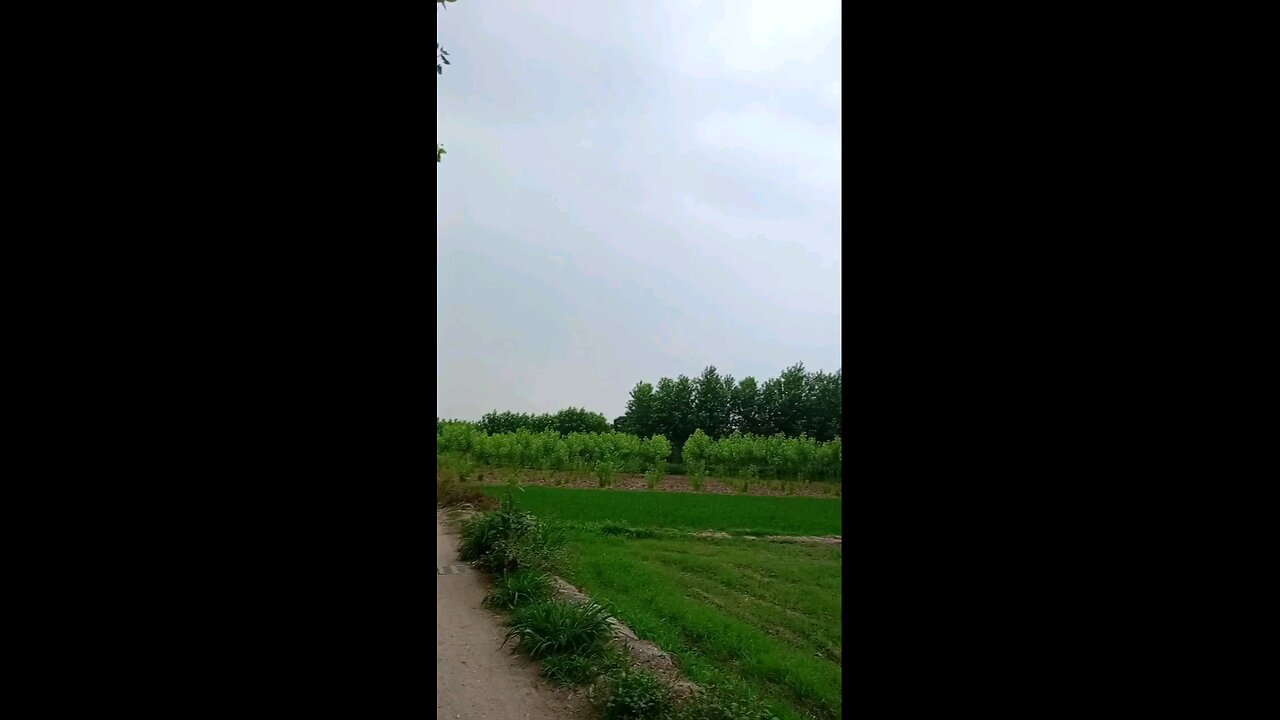 satisfying Video