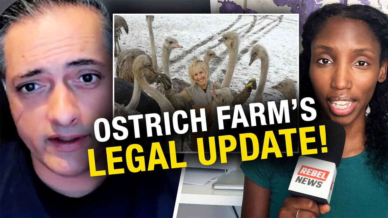 Ostrich farm lawyer gives update after federal appeal to stop CFIA cull of healthy birds