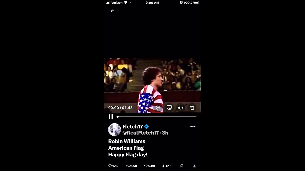 Robin Williams American Flag Happy Flag day!