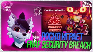 🐺 Роско играет в Tails Noir 🦝