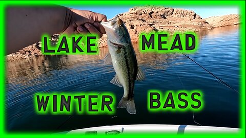 Winter Bass fishing at Echo Bay, Lake Mead. Drop Shot wins. Episode 2.