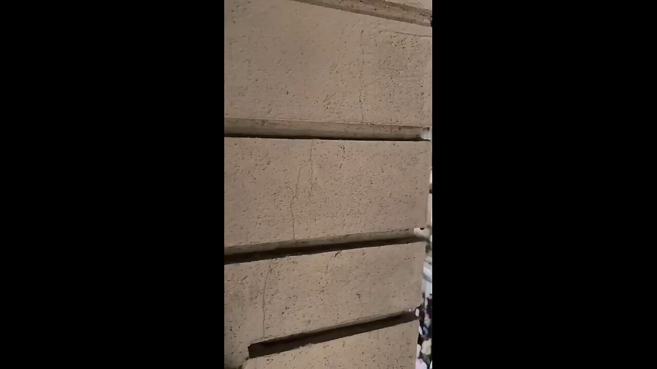 Ganpati Bappa Morya 🕉️#follow