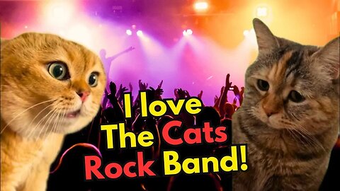 When You Take your Girlfriend to a Rock Concert (Ep.15)