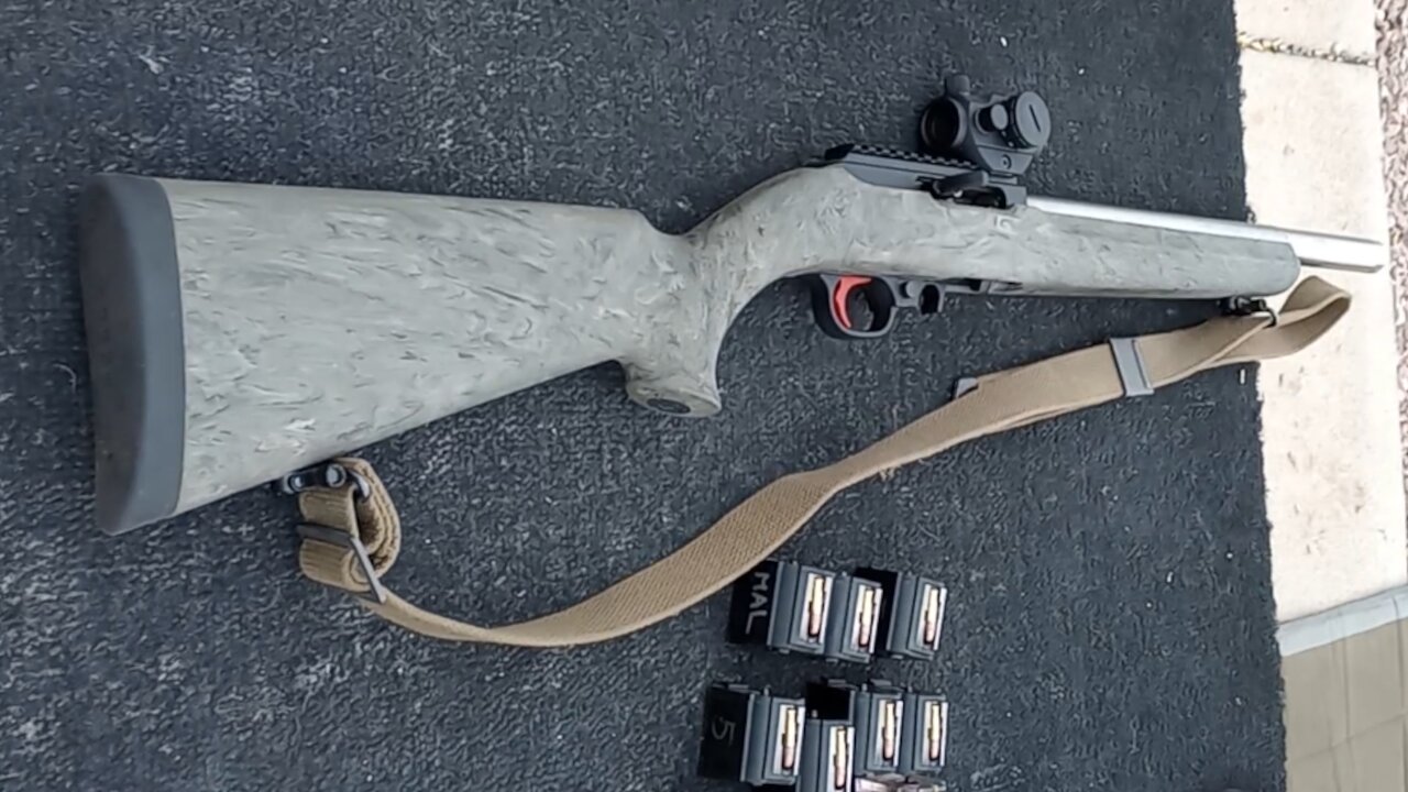 Bear Creek Arsenal BC201 - Third Try of the 10/22 Clone