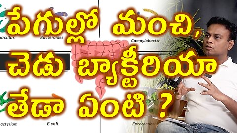 మంచి, చెడు బ్యాక్టీరియా తేడా? Good & Bad Gut Bateria Difference | Microbiota Microbiome | Gut Health