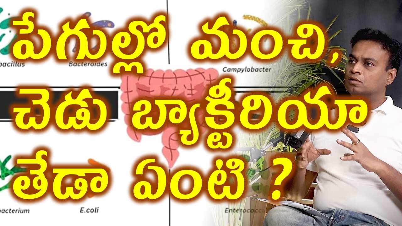 మంచి, చెడు బ్యాక్టీరియా తేడా? Good & Bad Gut Bateria Difference | Microbiota Microbiome | Gut Health