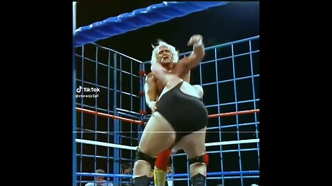 Hulk Hogan, King K Bundy