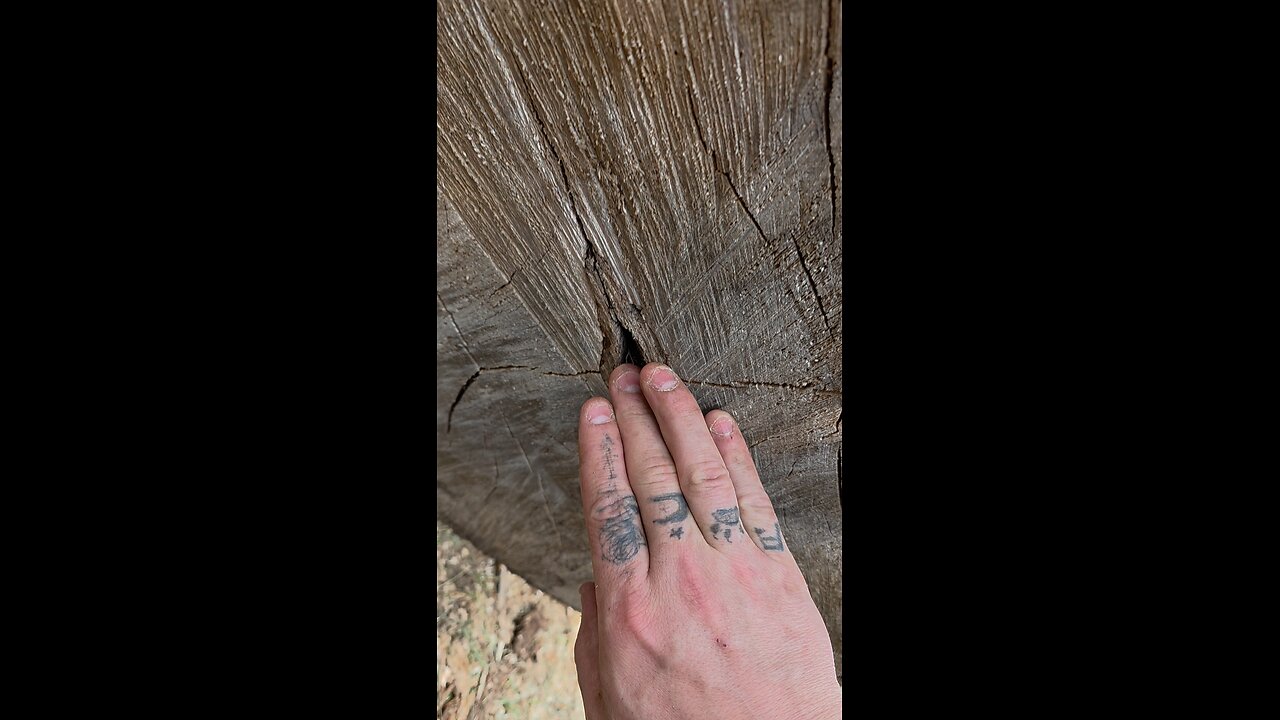 You Have A Dirty Mind