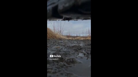 Up in Alaska #Subscribe #Upinalaska #Alaska #Outdoors #Hiking #Camping #Trending #fyp #djiaction5pro