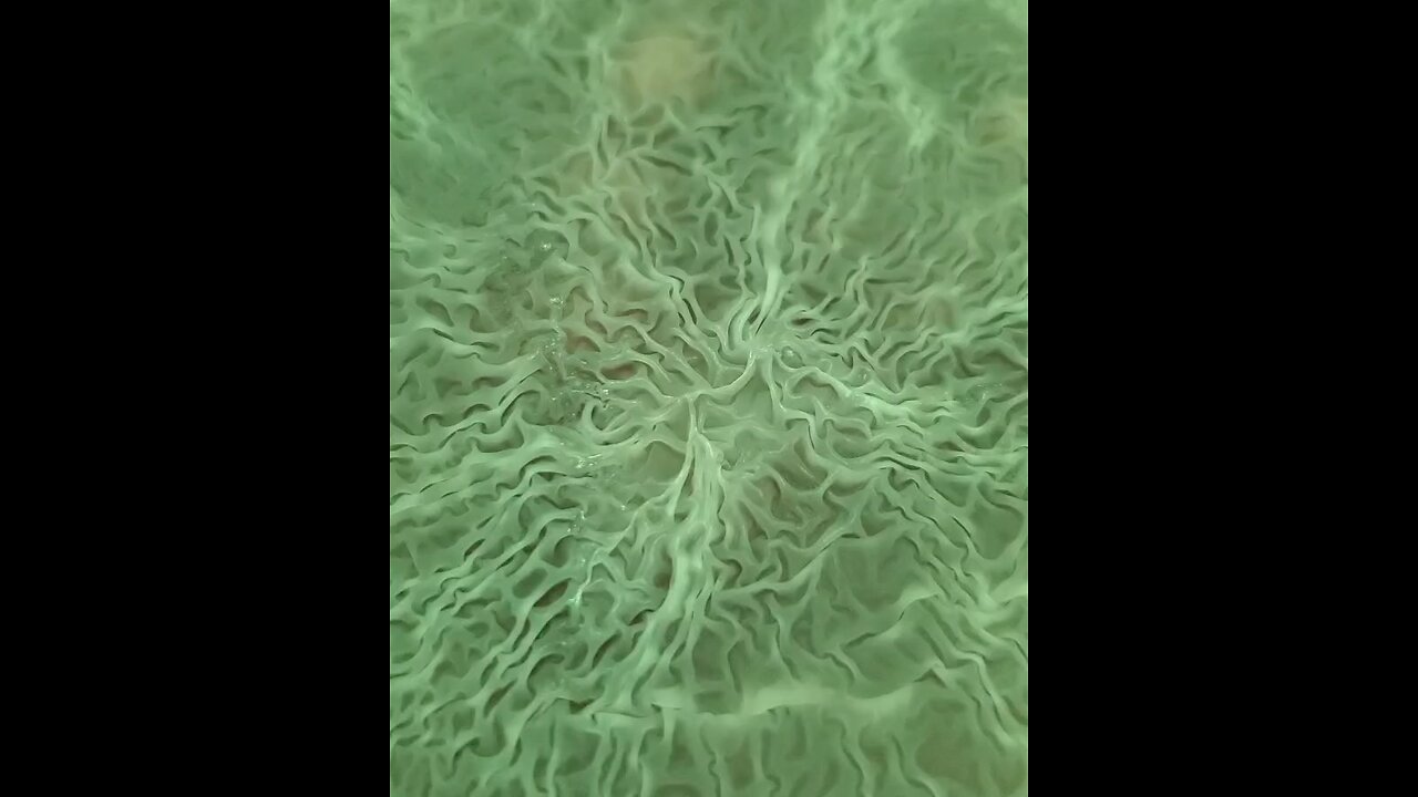 This is real life Nature, not AI