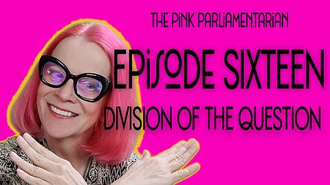 Division of the Question - The Pink Parliamentarian Ep. 16