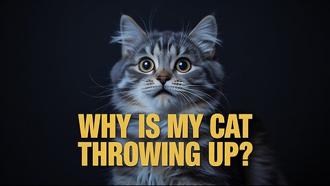 Why Is My Cat Throwing Up? (What Nature Is Telling You)