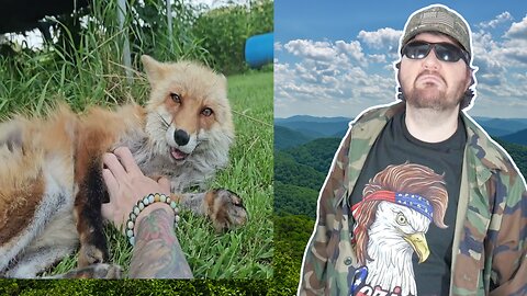 Have You Been Missing DixieDo Too? (SaveAFox) - Reaction! (BBT)