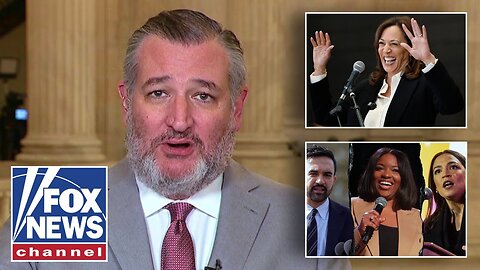 Ted Cruz: Harris, Crockett, Mamdani and AOC should go on tour