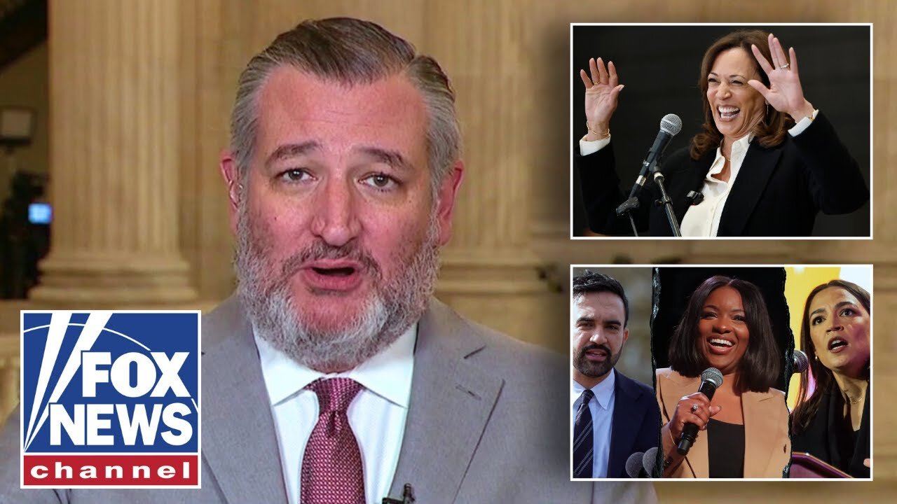 Ted Cruz: Harris, Crockett, Mamdani and AOC should go on tour