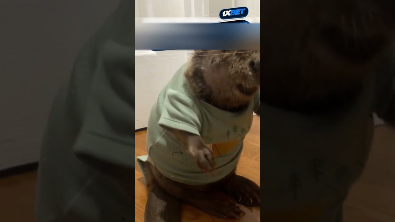 The children found a lost beaver and brought home