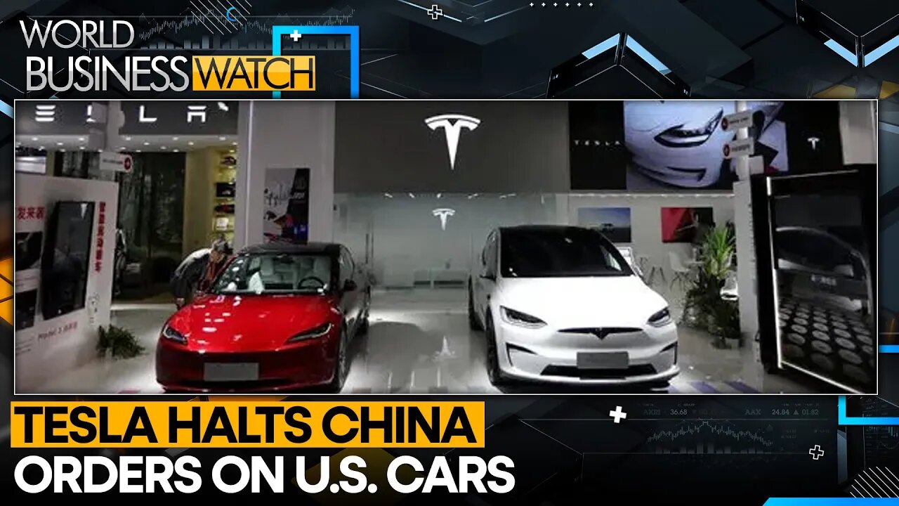 Tesla Halts China Orders On US Cars | World Business Watch
