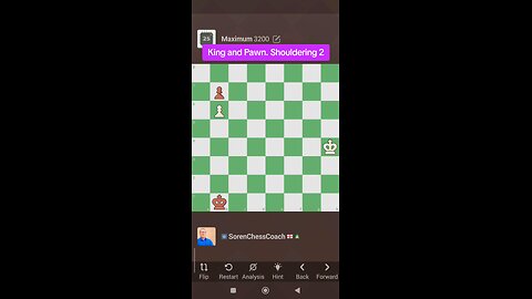 King and Pawn. Shouldering 2