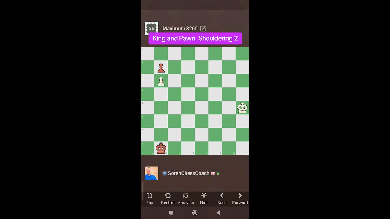 King and Pawn. Shouldering 2