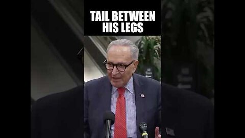 Pete Hegseth Humiliates Chuck Schumer in Front of the Press