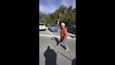 Pooper scooper at Veteran’s Day parade