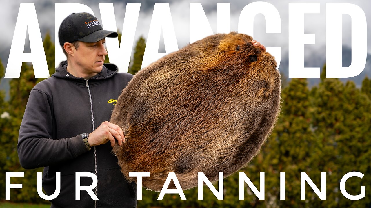 How To Tan A BEAVER : Advanced Fur Tanning