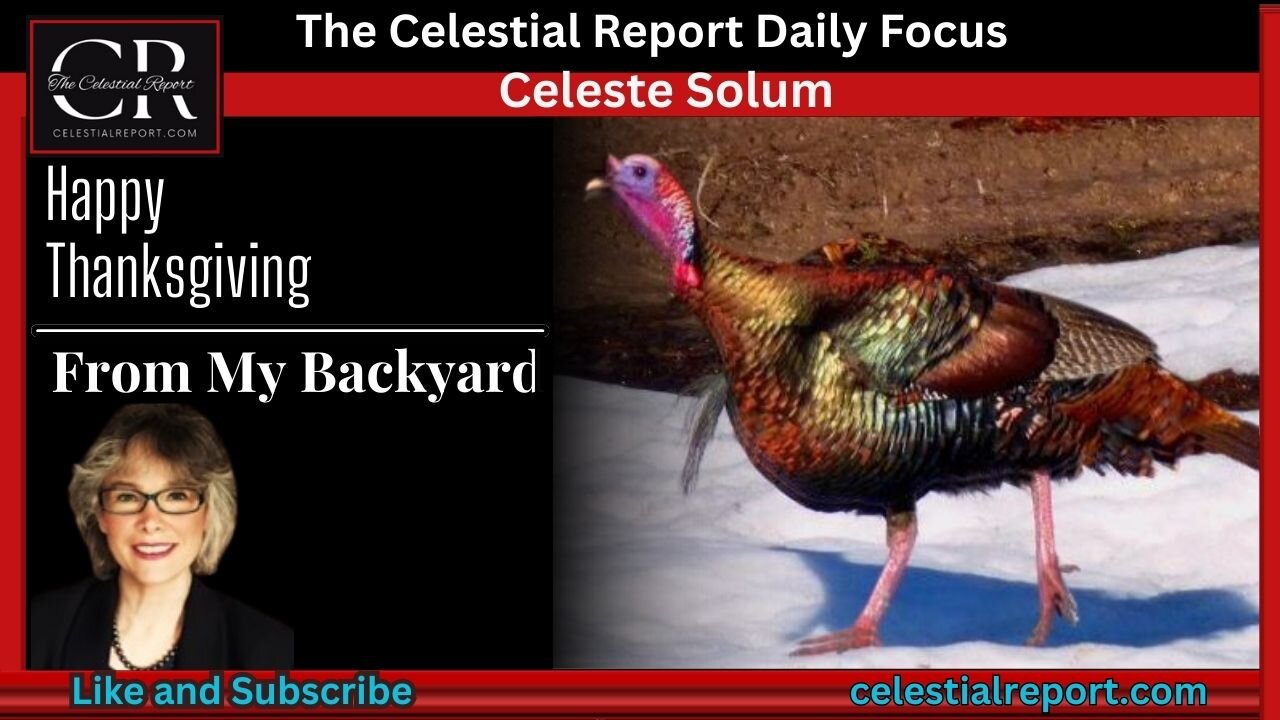 Happy Thanksgiving From The Celestial Report