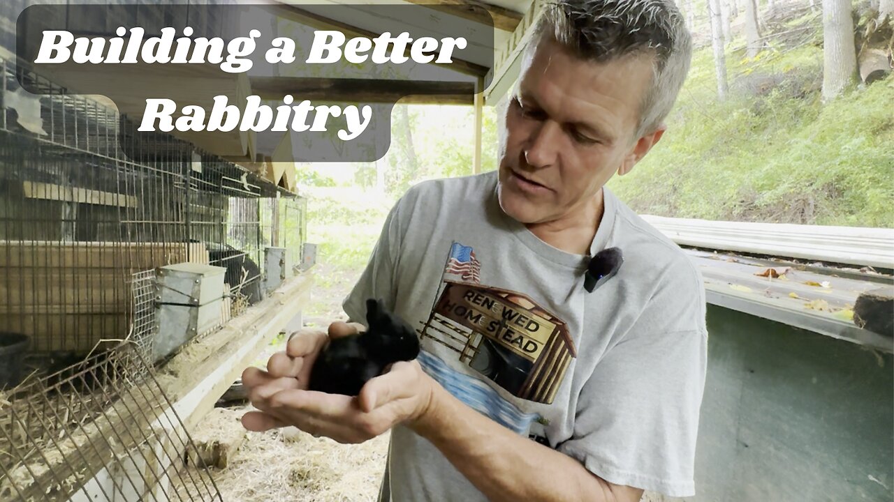 Rabbitry Fails and Building a Better Rabbitry