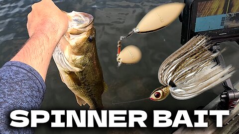 Spinnerbait was KING today!