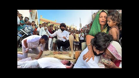"Cobra Bites Snake Rescuer in Bihar | Shocking Wildlife Rescue Caught on Camera"